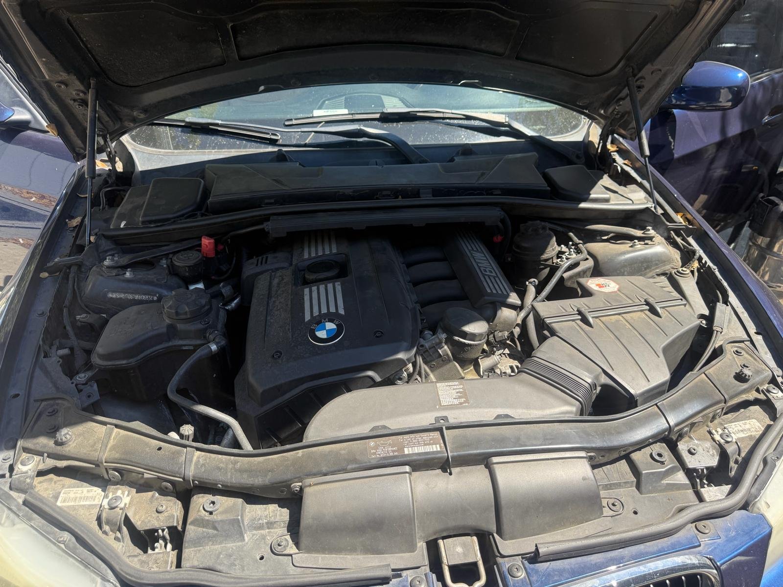 Motor BMW sucio antes del detallado